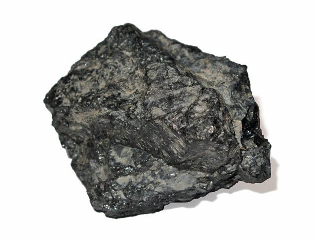 La materia orgánica y el carbón
